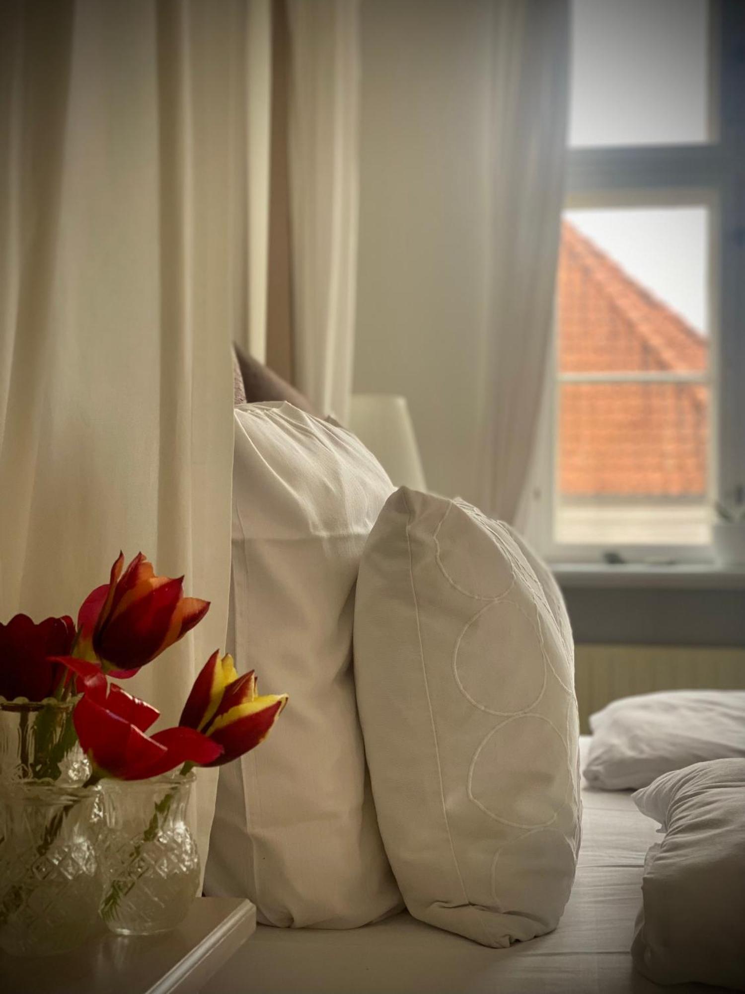 Brodremenighedens Hotel Кристиансфелль Экстерьер фото